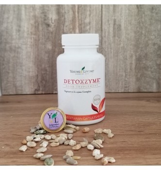 Ферменты для пищеварения Detoxzyme 180 капсул -320308